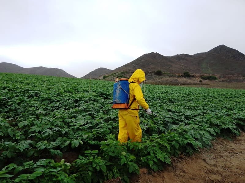 agromanta_peru_hombre_fumigando